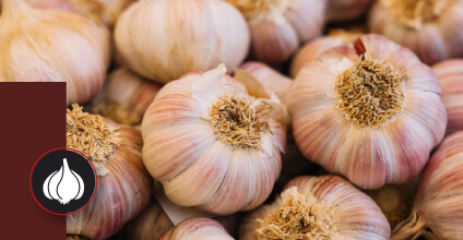 Ajo