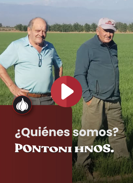 Quienes somos