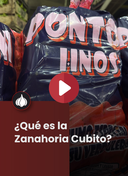 Que es Zanahoria Cubito