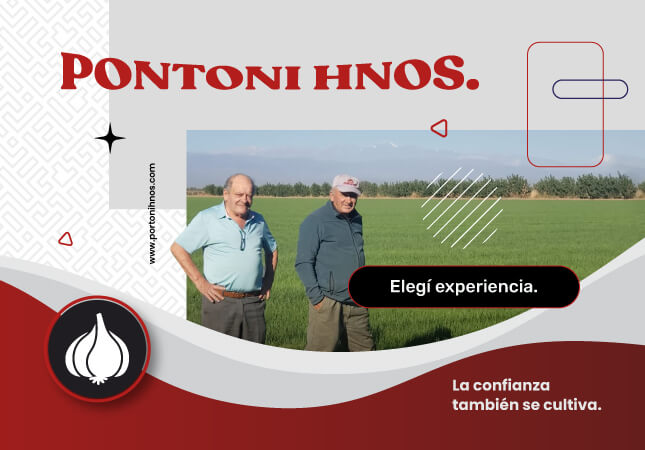 Nosotros